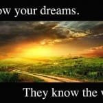 If you dream, you are alive