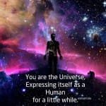 you are the universe