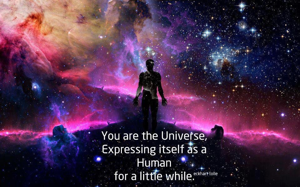 you are the universe