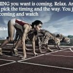 Everything You Want is Coming