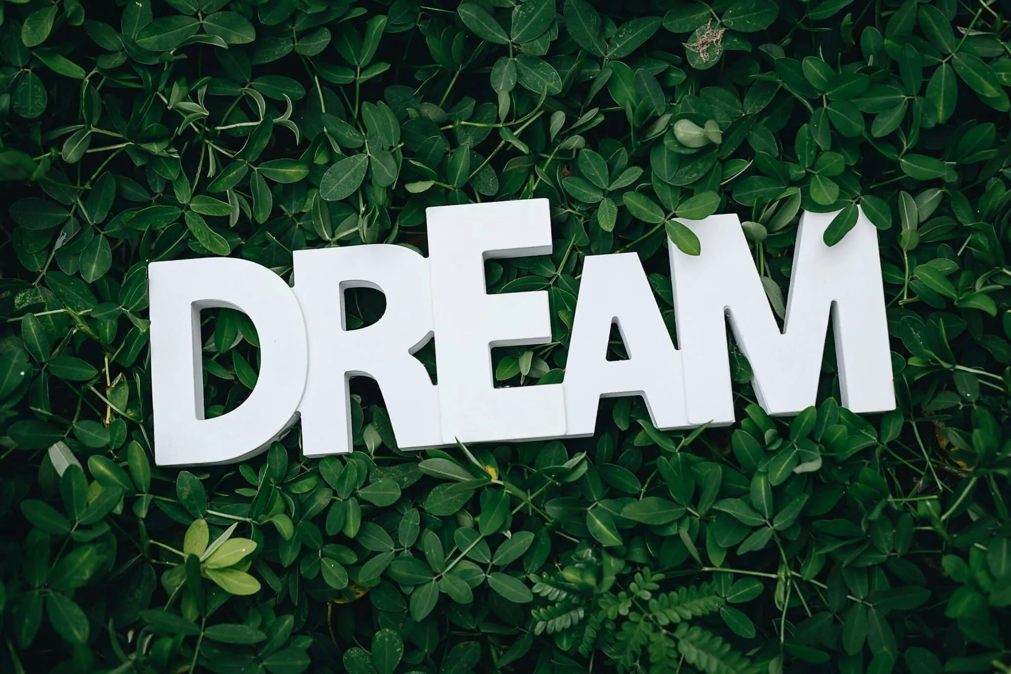 awesome aj dream
